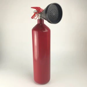Estintore Co2 2kg