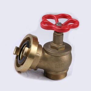 Fire Landing Valve